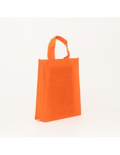 Customized Customized non-woven bag 30x10x35 CM | NON-WOVEN TNT LUS BAG| SCREEN PRINTING ON TWO SIDES IN TWO COLORS