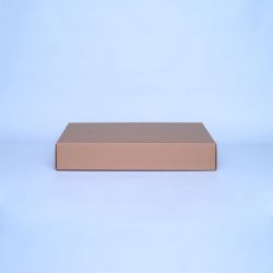 Customized Personalized foldable box Campana 52x40x9 CM | CAMPANA | SCREEN PRINTING ON ONE SIDE IN ONE COLOUR