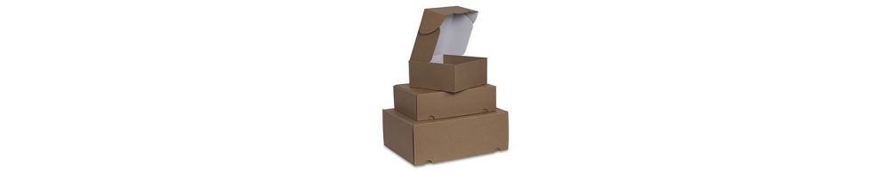 Kraft shipping box